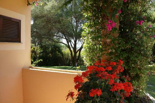 Villa Elicriso