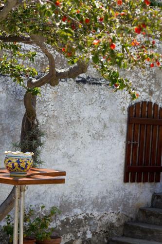 Hostal La Locanda Del Barbabl�