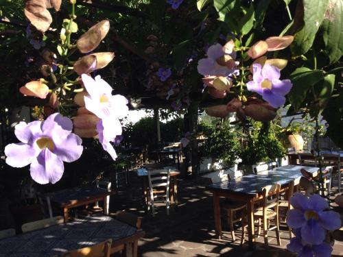 Bed & Breakfast La Lampara