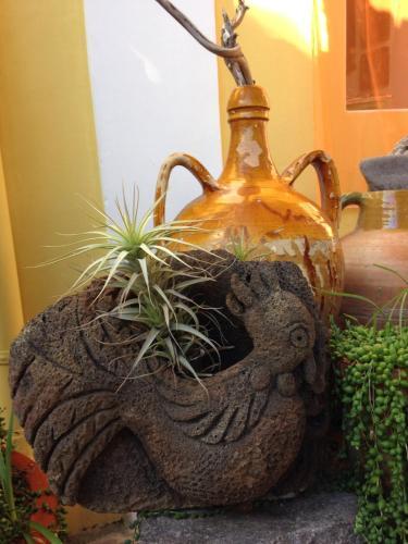 Bed & Breakfast La Lampara