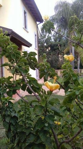 Villa Magnolia B&B