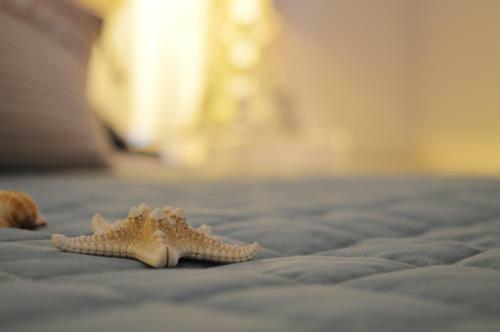 Bed & Breakfast Stella Maris Suite Relax