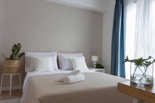Zabb�ra B&B