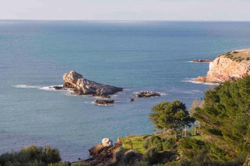 Zabb�ra B&B