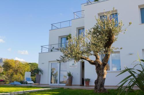 Zabb�ra B&B
