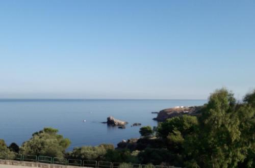 Zabb�ra B&B