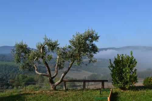 Agroturismo Agriturismo Il Merollo