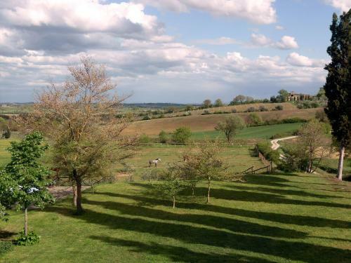 Villa Podere Pievina Delle Corti