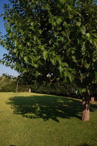 Villa Garden