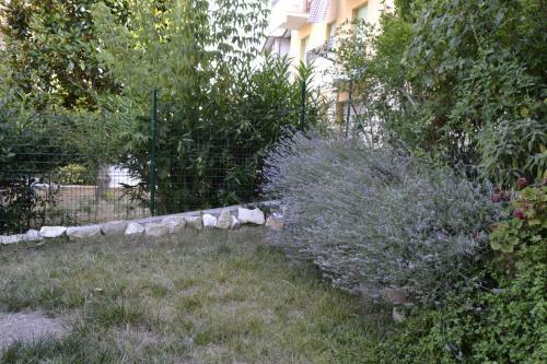 Apartamento Vigne