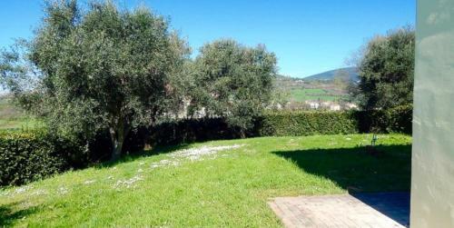 Apartamento N89 - Numana, Villa Con Giardino E Vista Mare