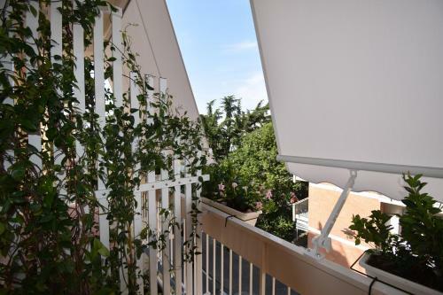 Hostal Melody Sorrento Suites