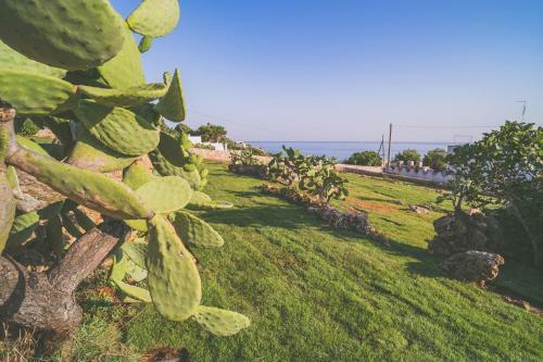 Villa Trepuntozero House Luxury