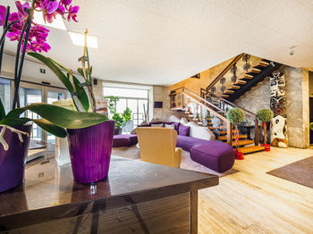 Hotel Cristallo Club