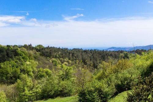Apartamento Ferienwohnung San Bartolomeo Del Bosco 100s
