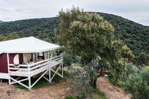 Glamping Vedetta Lodge
