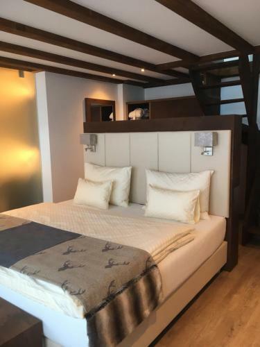 Hotel Arya Alpine Lodge