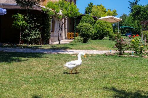 Apartamento Casa Della Luna