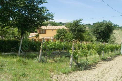 Hotel Country House La Madonnina