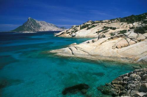 Apartamento Appartamento Degli Ulivi