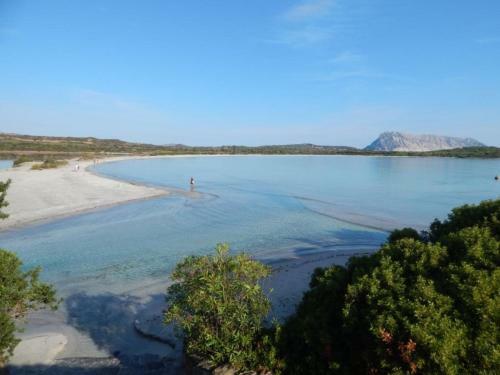 Apartamento Locazione Turistica Trilo Grosseto
