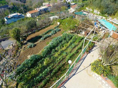 Apartamento Locazione Turistica Monalisa - Capri View