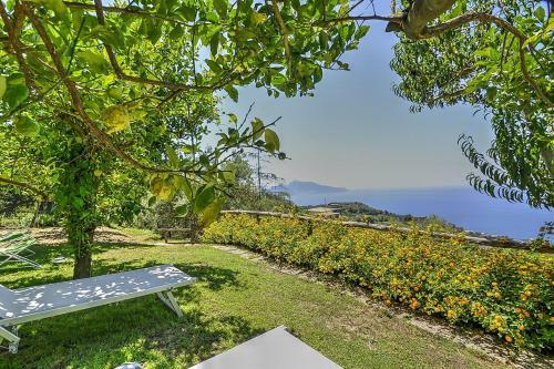 Sant'agata Sui Due Golfi Villa Sleeps 24 Pool Wifi