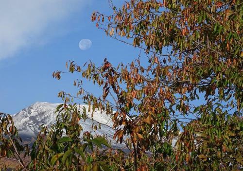 Bed & Breakfast Il Borgo Dell' Etna