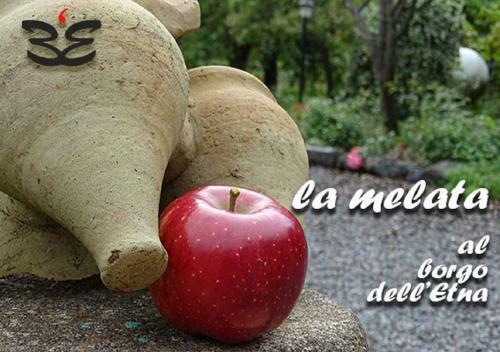 Bed & Breakfast Il Borgo Dell' Etna