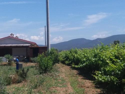 Apartamentos Locazione Turistica Casa Della Vigna
