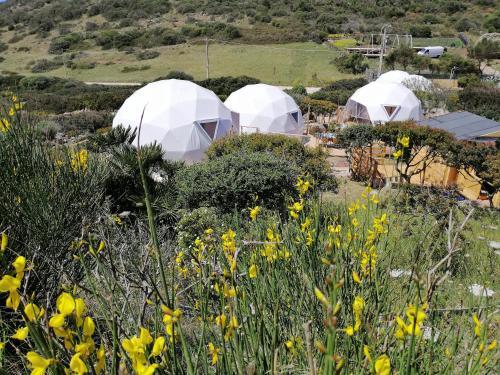 B&B Semaforo Capo Sperone
