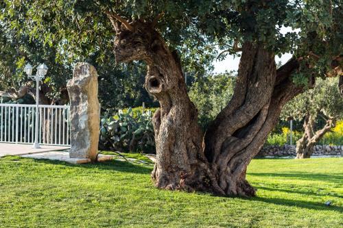 Apartamento Il Giardino Dei Frangipani