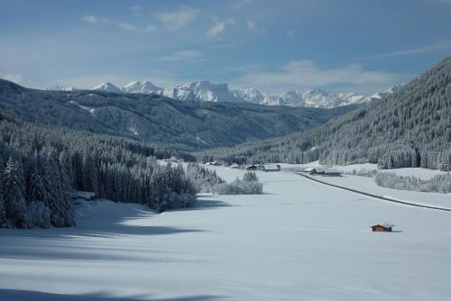 Aparthotel Residence Bannwald