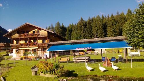 Aparthotel Residence Bannwald
