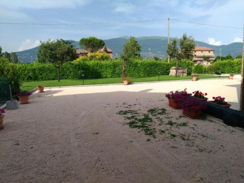 Agroturismo Il Sagrato Di Assisi