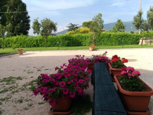 Agroturismo Il Sagrato Di Assisi