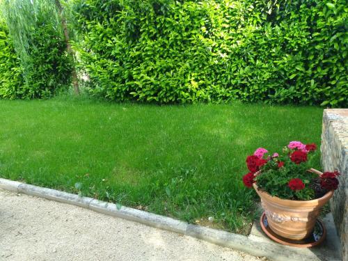Agroturismo Il Sagrato Di Assisi
