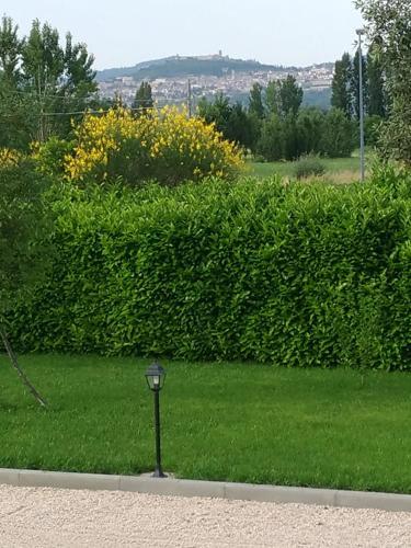Agroturismo Il Sagrato Di Assisi