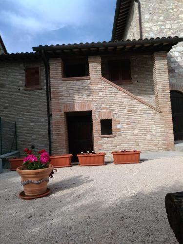 Agroturismo Il Sagrato Di Assisi
