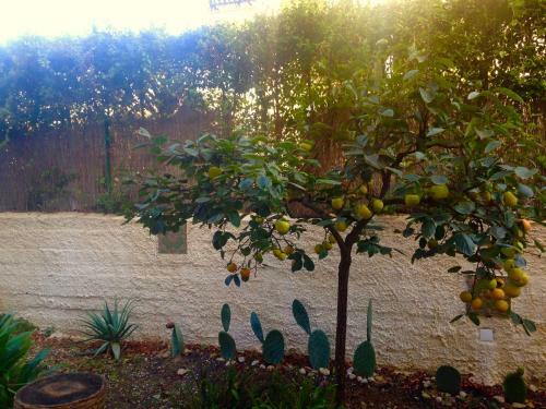 B&B Villa Maria Agrigento