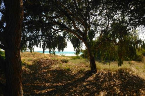 B&B Villa Maria Agrigento