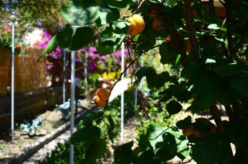 B&B Villa Maria Agrigento