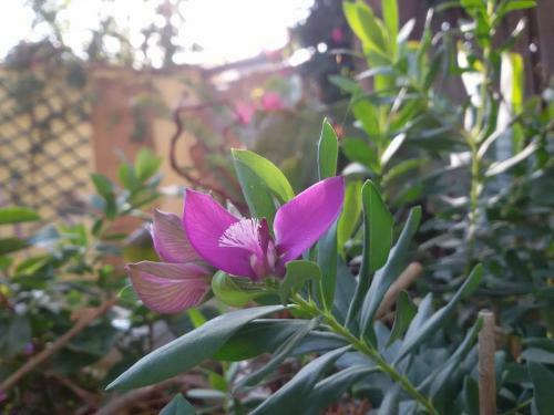 Apartamento Villa Solemare