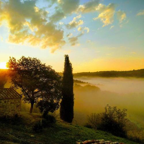 Agroturismo Agriturismo Il Riguardino