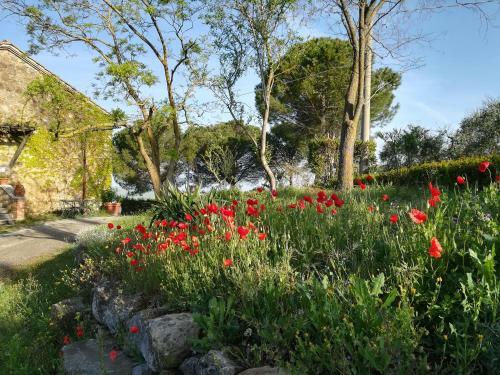 Agroturismo Agriturismo Il Riguardino