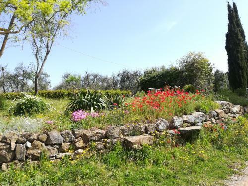 Agroturismo Agriturismo Il Riguardino
