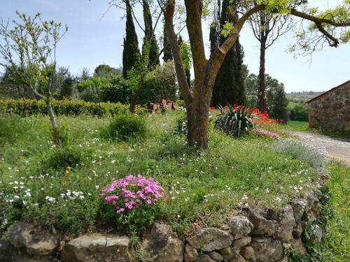 Agroturismo Agriturismo Il Riguardino
