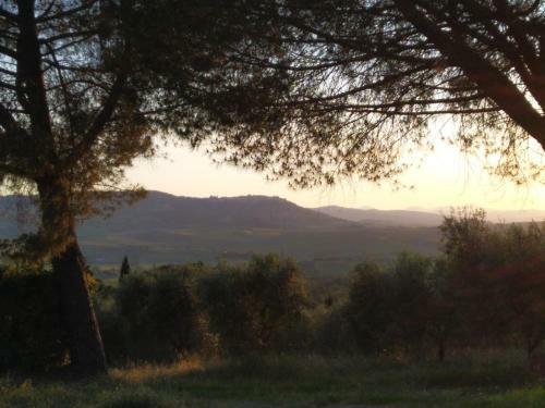 Agroturismo Agriturismo Il Riguardino