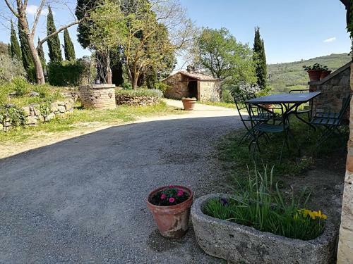 Agroturismo Agriturismo Il Riguardino