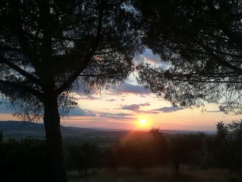 Agroturismo Agriturismo Il Riguardino